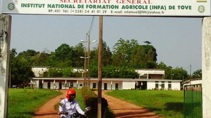 Développement agricole : les nouvelles filières de l’INFA de Tové