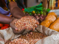 AFD allocates €8 million to ECOWAS Commission to improve food security in the region