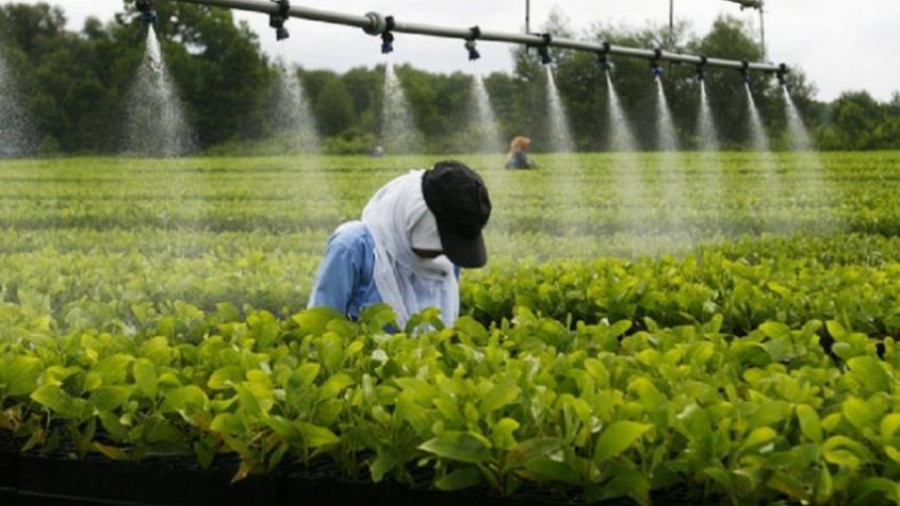 Formation agricole : De nouveaux diplômes en vue à l’INFA de Tové