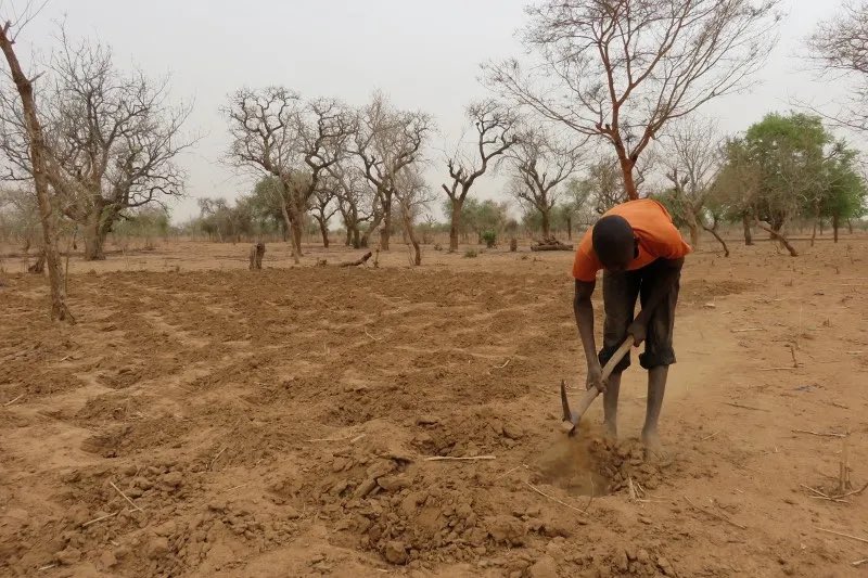 Nord-Togo : un appui de 5,4 millions $ du FEM pour la sauvegarde des sols