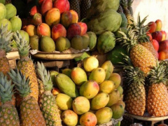 Togo exported 30,265 tons of fruits and vegetables in 2017