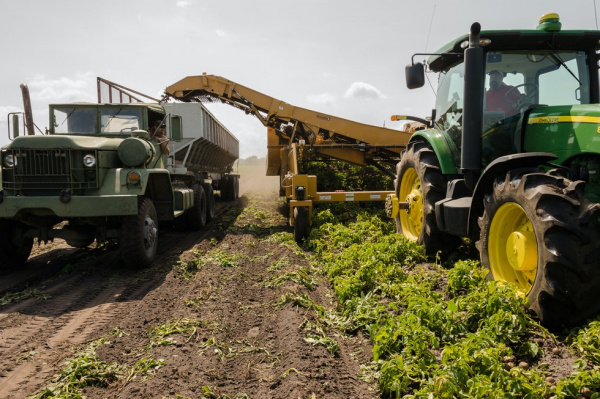 Togo : l&#039;Agence de transformation agricole opérationnelle en janvier 2023, un recrutement lancé