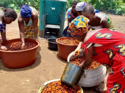 Togo: WACA Supports Modernization for Palm Kernel Processors in Momé Katihoé