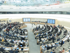 Lomé actively takes part in the 43rd regular session of the UN human rights council