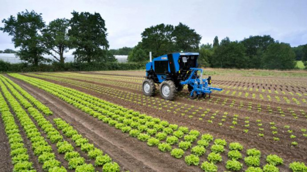 Agriculture Togolaise : entre transformations et défis