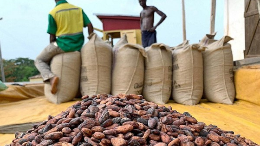 Togo : baisse des prix indicatifs du café et du cacao