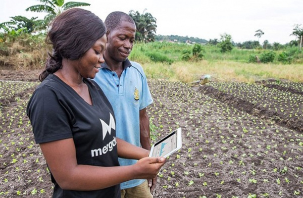 Togo: bientôt un centre de formation agricole à Tindjassi dans la région Centrale