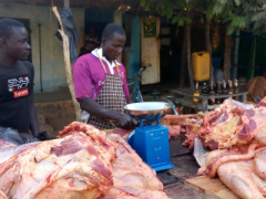 Togo: Government to hold general assemblies to tackle the shortfall in meat production