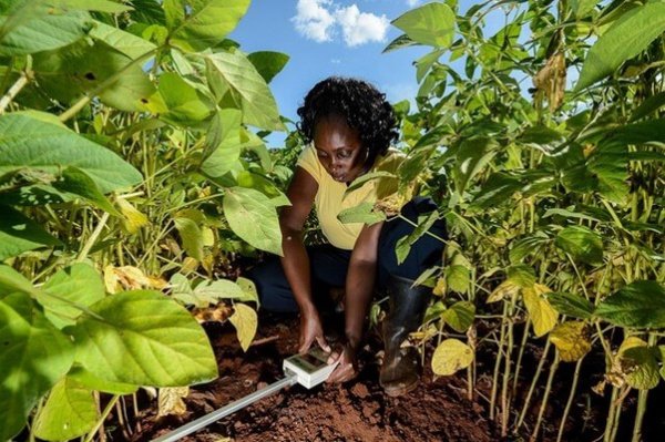 Agriculture: Togo Trains Stakeholders on Product Certification