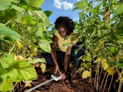 Agriculture: Togo Trains Stakeholders on Product Certification