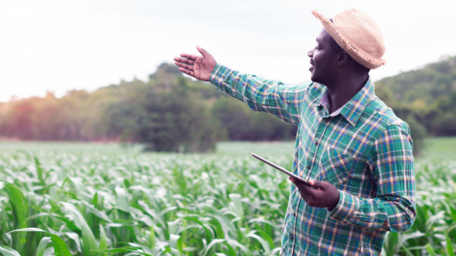 Togo : un projet d’investissements agricoles massifs en 2021