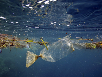 a-lome-22-pays-africains-planchent-sur-la-lutte-contre-la-pollution-marine