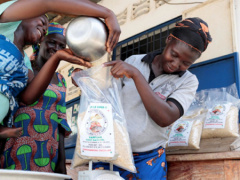 Togo: The World Bank praises the women of Anié for producing premium parboiled rice