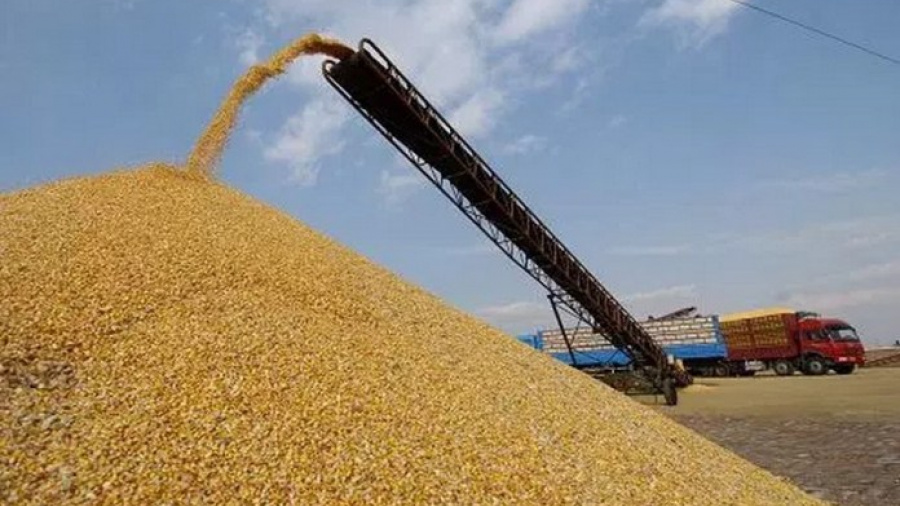 En prélude au forum Togo-UE : présentation le 12 juin prochain des conditions d’exportation des produits agricoles vers l’Europe