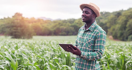 Togo: une campagne pour enrôler les jeunes dans l&#039;agroalimentaire