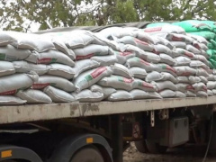 Togolese government disburses CFA500 million to pre-finance fertilizer purchase for struggling farmers