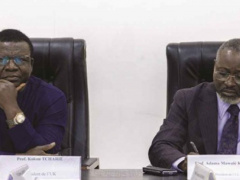 Togo&#039;s Public Universities Prioritize Curriculum Harmonization and Student Transfer