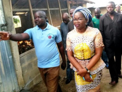 Togo: Minister of youth on a tour to review progress made relative to the PAEIJ-SP