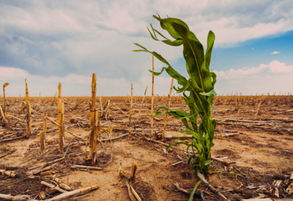 Togo Starts Updating National Climate Change Plan