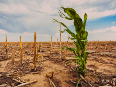 togo-starts-updating-national-climate-change-plan