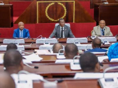 togo-national-assembly-reviews-2025-finance-bill