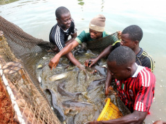 Togo: Elavagnon’s agro-development training institute will officially start operating next May  