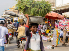 OPEC Fund supports agricultural integration in Togo with $10M loan