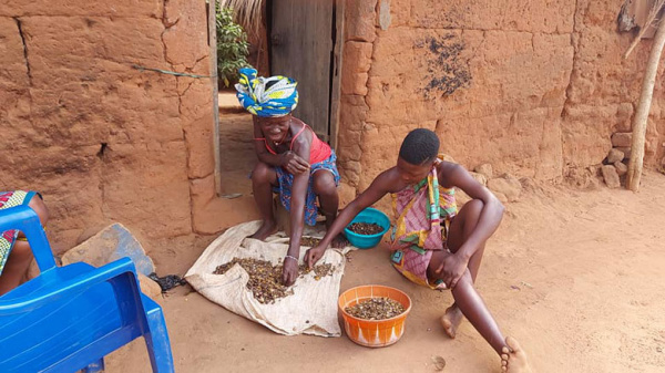 Filets sociaux de Base : une enquête sur les conditions de vie des ménages dans 45 quartiers du Grand Lomé