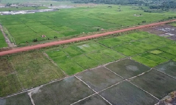 Développement agricole : Où en est le Projet rizicole de Mission Tové ?