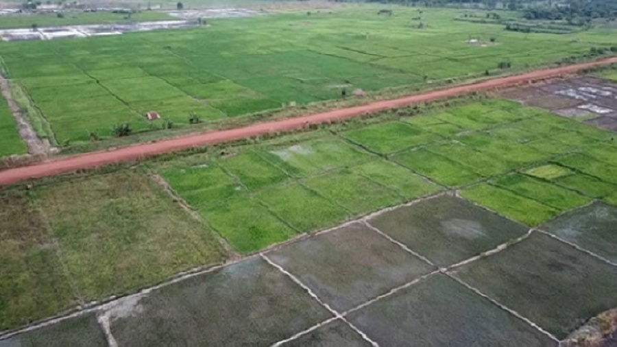 Développement agricole : Où en est le Projet rizicole de Mission Tové ?