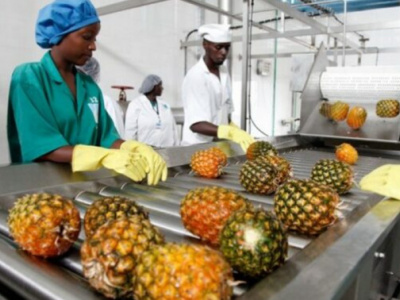 togo-hauqe-holds-workshop-to-enhance-agri-food-quality-standards