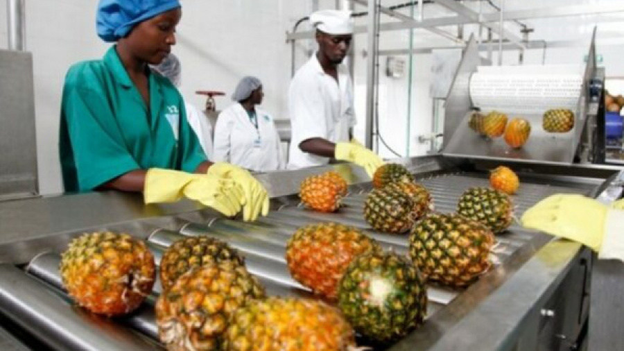 togo-hauqe-holds-workshop-to-enhance-agri-food-quality-standards