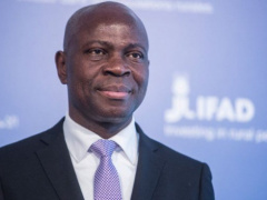 Togo : IFAD considers supporting MIFA