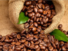 The Inter-African Coffee Organization will hold its annual assembly next November