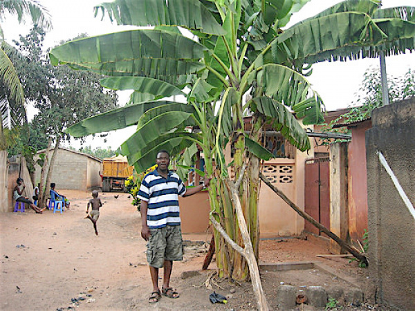 Togo : dans le Yoto, un projet de promotion agricole de 100 millions FCFA va booster l’économie locale