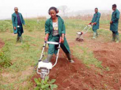 More than 7,000 young entrepreneurs participate in the ongoing agripreneurs forum in Kara