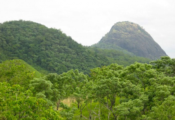 Soutenu par l’Inde, le Parc National Fazao-Malfakassa en passe d’être reconnu par l’Unesco comme « Réserve de la Biosphère »