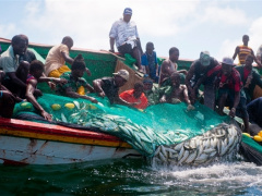 Togo: Fish production at the Nangbéto Lake grows by more than 400% since 2012