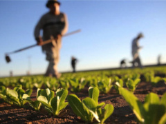 33% of Togo’s arable lands mapped under key project