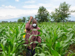 AfDB grants Togo $5.4 million to boost its agricultural production