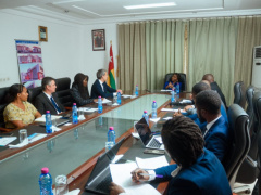 Investment: Togo Just Received a Delegation of French Businesspeople