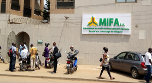 MIFA: Over CFA1 Billion  Secured for Farmers for 2023-2024 Agricultural Campaign