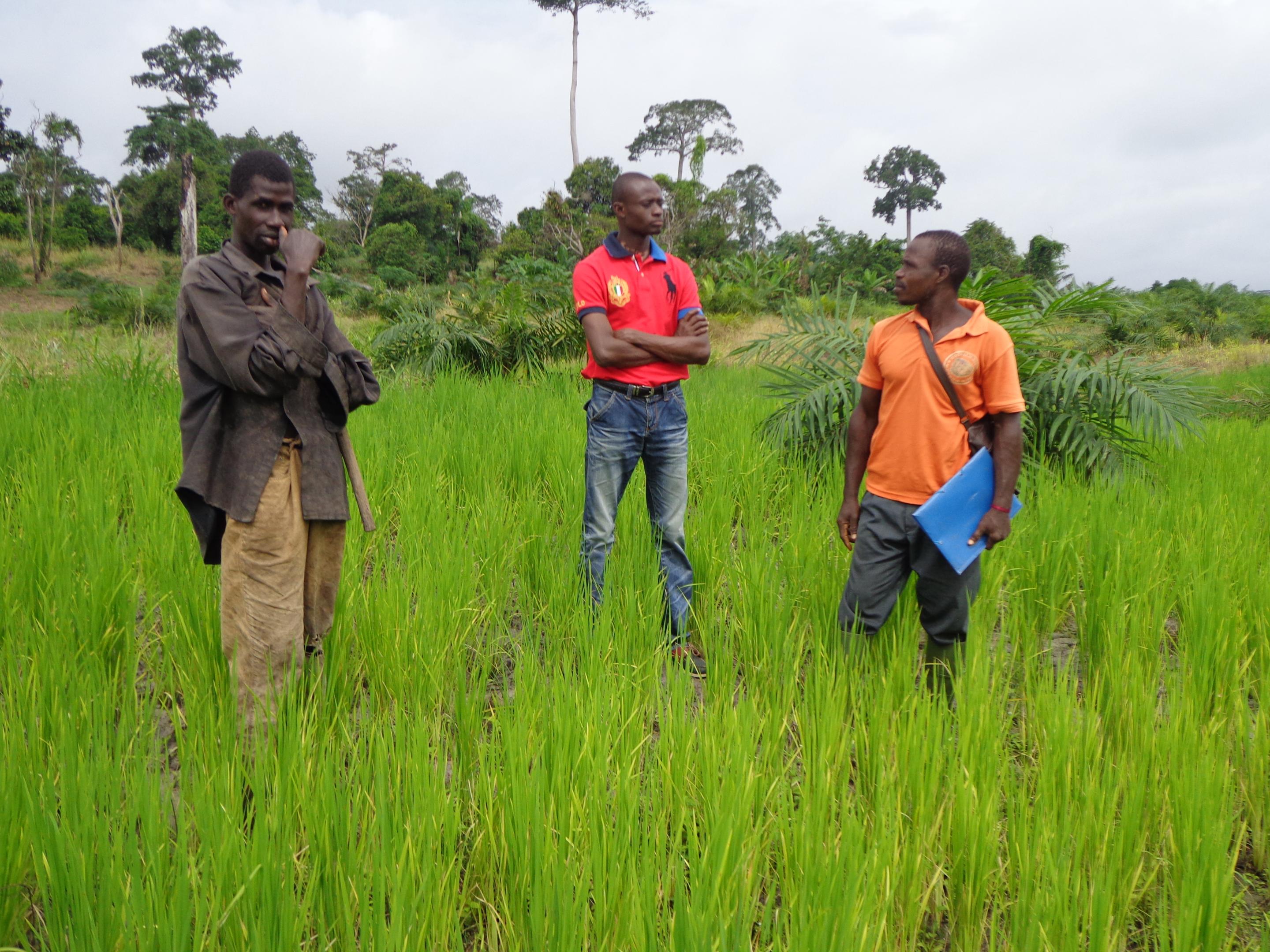 Le PNPER a déjà injecté 311 millions FCFA dans l’entrepreneuriat rural cette année