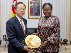 China and Togo Reaffirm Commitment to Partnership