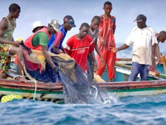 Togo on the verge of ratifying WTO fishing subsidy convention