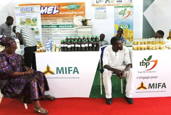 MIFA SA appelle tous les acteurs du secteur agricole à s’inscrire dans sa base de données