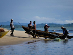 The West African States are planning a joint strategy to develop the fishery sector