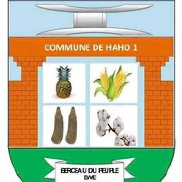 Togo: Haho 1 Municipality Had Less Revenues in 2023, Compared to 2022