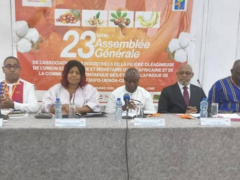 Oilseed in West Africa: Stakeholders rethink the industry’s development in Lomé