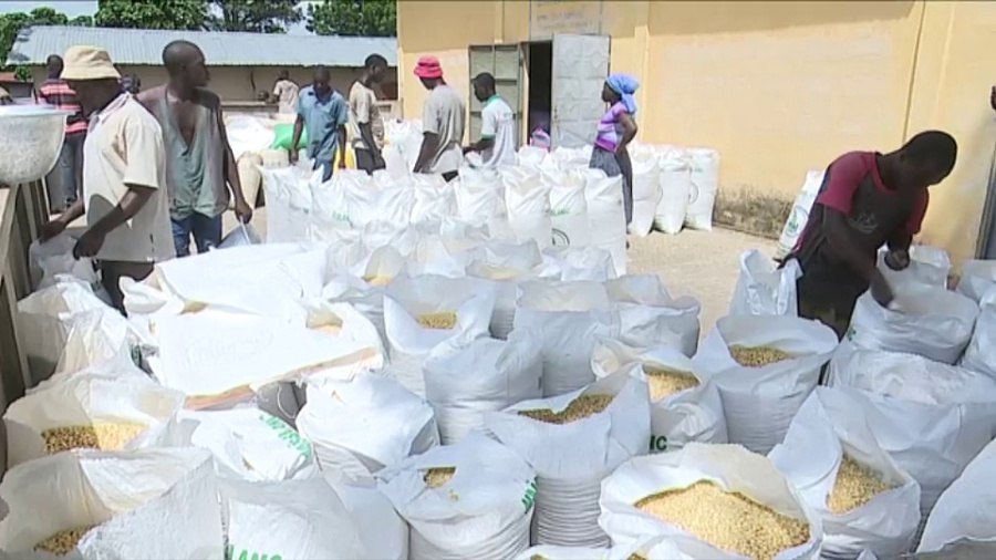 Sécurité alimentaire : L’ANSAT ouvre ses vannes